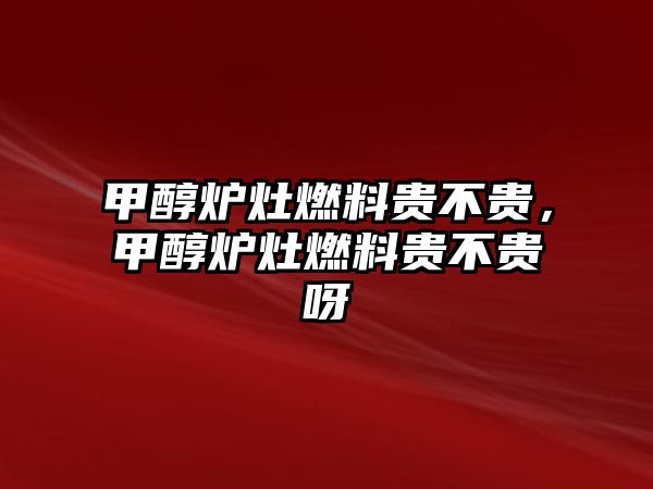 甲醇爐灶燃料貴不貴，甲醇爐灶燃料貴不貴呀