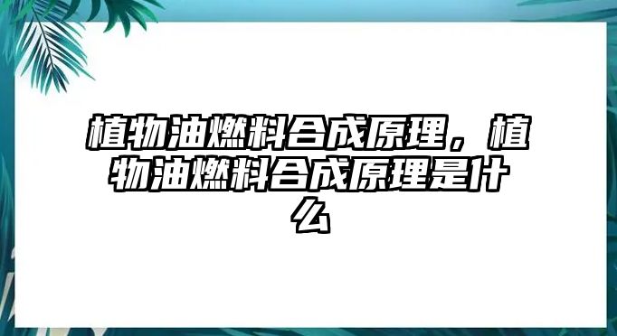 植物油燃料合成原理，植物油燃料合成原理是什么