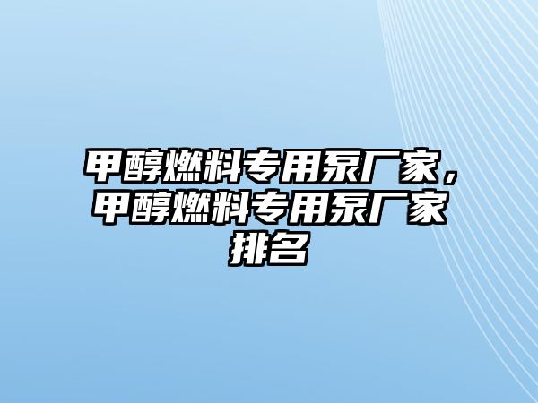 甲醇燃料專用泵廠家，甲醇燃料專用泵廠家排名