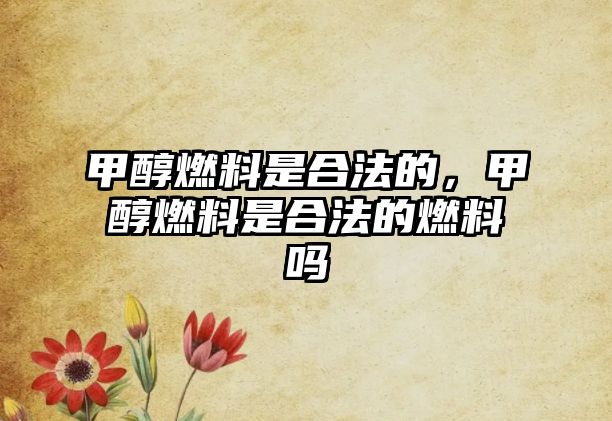 甲醇燃料是合法的，甲醇燃料是合法的燃料嗎