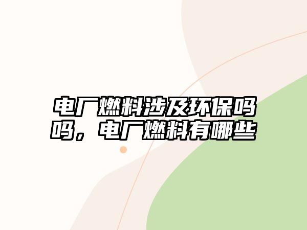 電廠燃料涉及環(huán)保嗎嗎，電廠燃料有哪些