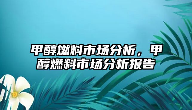 甲醇燃料市場(chǎng)分析，甲醇燃料市場(chǎng)分析報(bào)告