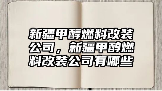 新疆甲醇燃料改裝公司，新疆甲醇燃料改裝公司有哪些