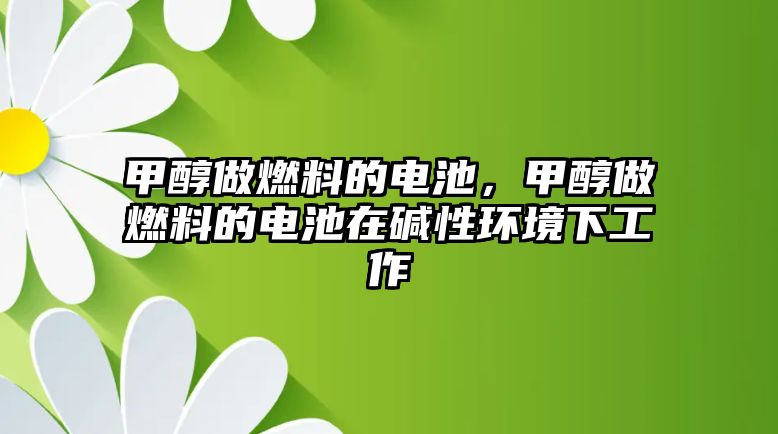 甲醇做燃料的電池，甲醇做燃料的電池在堿性環(huán)境下工作