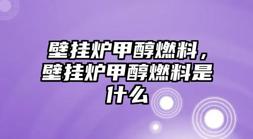 壁掛爐甲醇燃料，壁掛爐甲醇燃料是什么