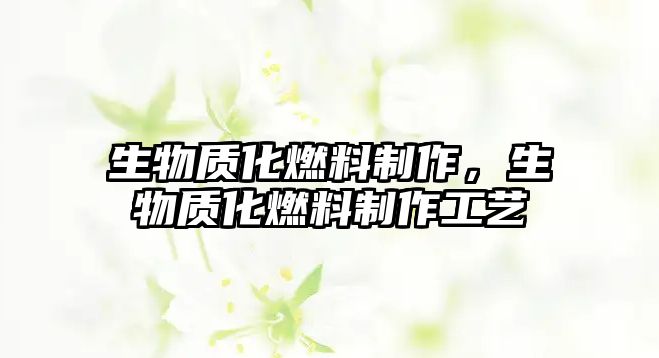 生物質(zhì)化燃料制作，生物質(zhì)化燃料制作工藝