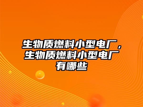 生物質(zhì)燃料小型電廠，生物質(zhì)燃料小型電廠有哪些