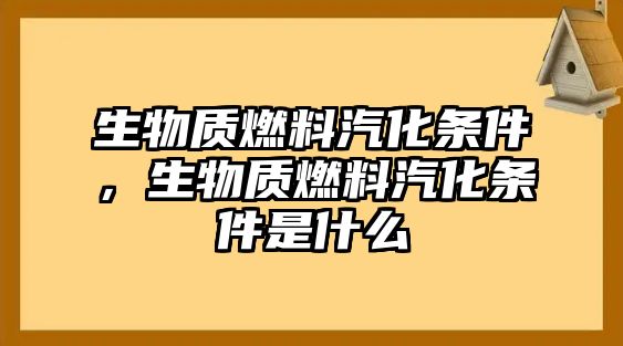 生物質(zhì)燃料汽化條件，生物質(zhì)燃料汽化條件是什么