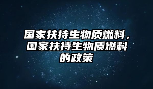 國(guó)家扶持生物質(zhì)燃料，國(guó)家扶持生物質(zhì)燃料的政策