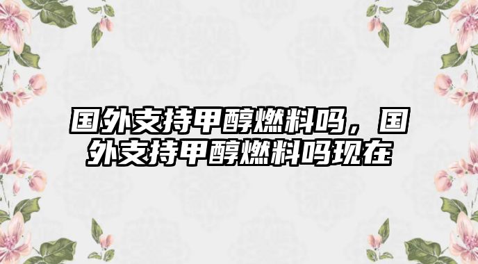 國(guó)外支持甲醇燃料嗎，國(guó)外支持甲醇燃料嗎現(xiàn)在