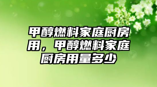 甲醇燃料家庭廚房用，甲醇燃料家庭廚房用量多少