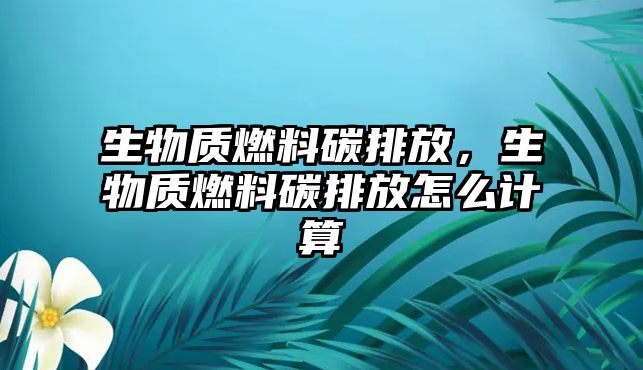 生物質(zhì)燃料碳排放，生物質(zhì)燃料碳排放怎么計算