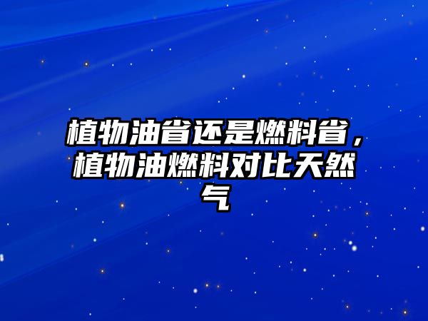 植物油省還是燃料省，植物油燃料對比天然氣