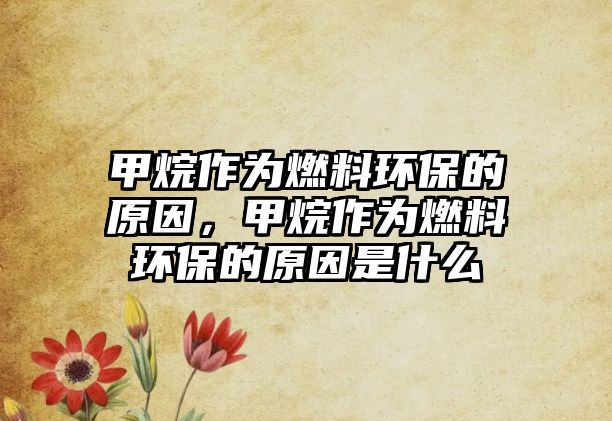 甲烷作為燃料環(huán)保的原因，甲烷作為燃料環(huán)保的原因是什么