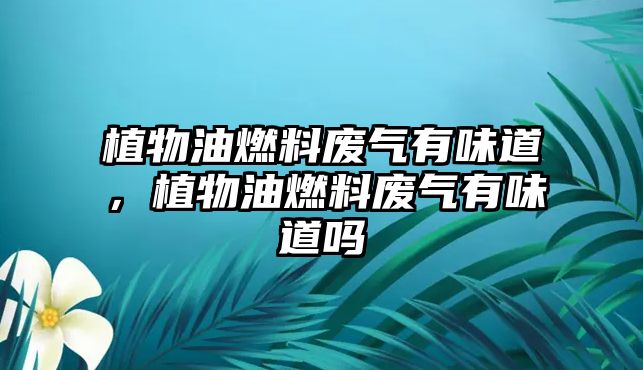 植物油燃料廢氣有味道，植物油燃料廢氣有味道嗎