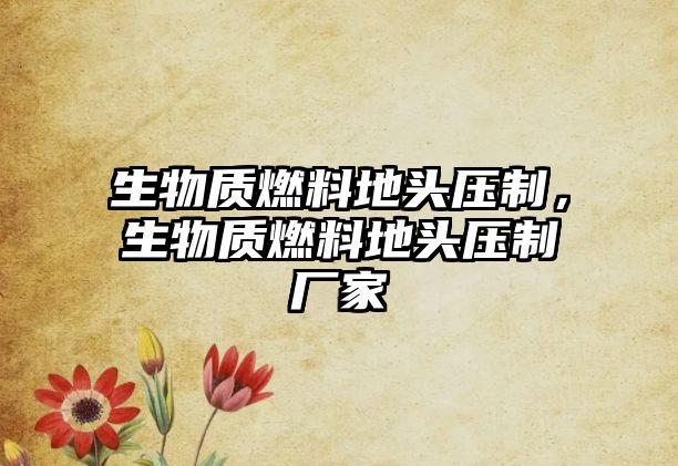 生物質(zhì)燃料地頭壓制，生物質(zhì)燃料地頭壓制廠家