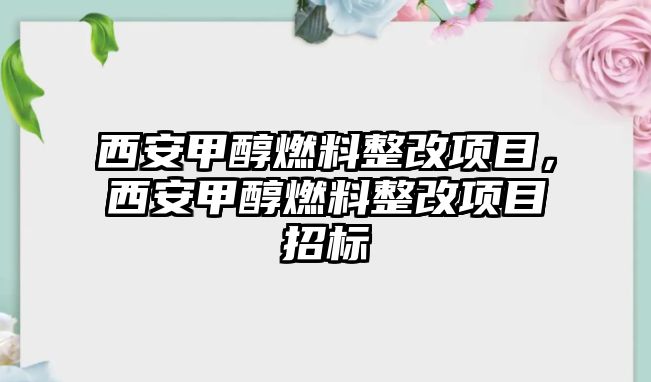 西安甲醇燃料整改項目，西安甲醇燃料整改項目招標