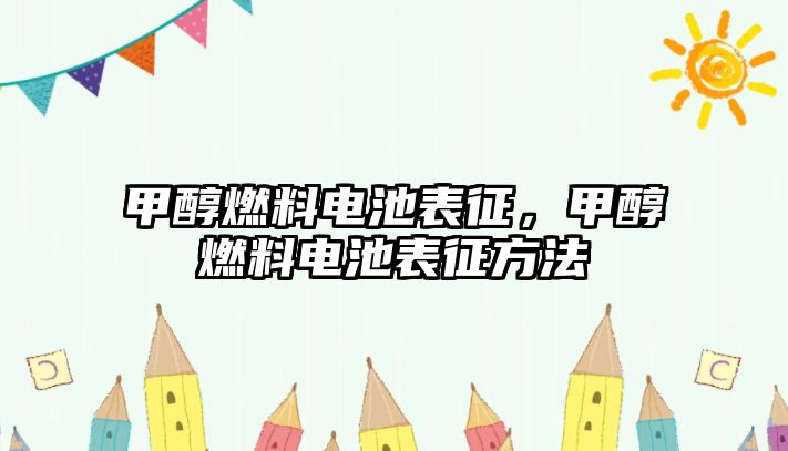 甲醇燃料電池表征，甲醇燃料電池表征方法