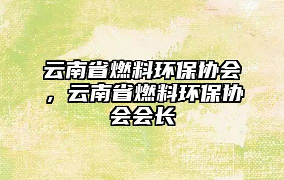 云南省燃料環(huán)保協(xié)會，云南省燃料環(huán)保協(xié)會會長