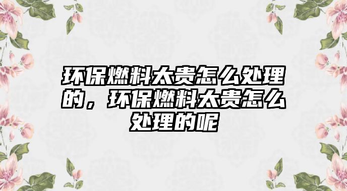 環(huán)保燃料太貴怎么處理的，環(huán)保燃料太貴怎么處理的呢