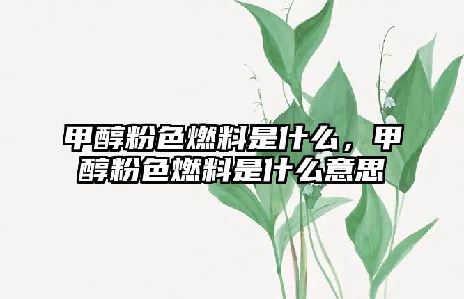 甲醇粉色燃料是什么，甲醇粉色燃料是什么意思