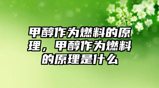 甲醇作為燃料的原理，甲醇作為燃料的原理是什么