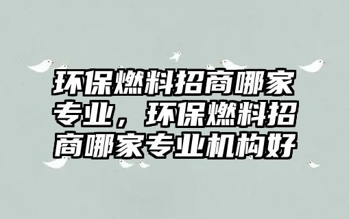 環(huán)保燃料招商哪家專業(yè)，環(huán)保燃料招商哪家專業(yè)機構(gòu)好