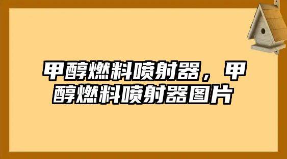 甲醇燃料噴射器，甲醇燃料噴射器圖片