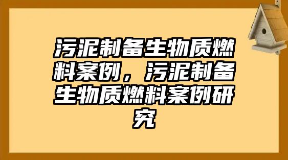 污泥制備生物質(zhì)燃料案例，污泥制備生物質(zhì)燃料案例研究