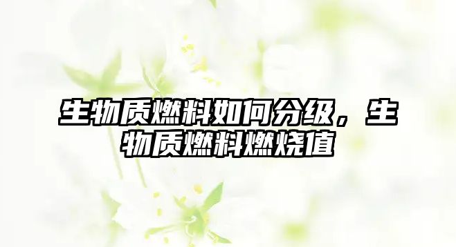 生物質(zhì)燃料如何分級，生物質(zhì)燃料燃燒值