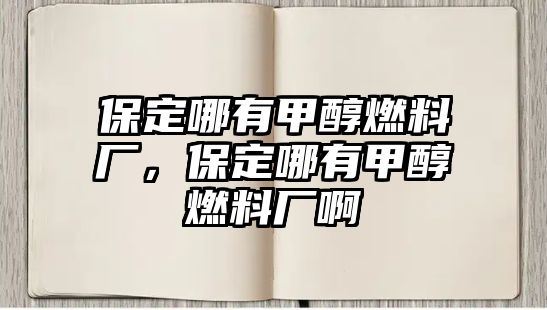 保定哪有甲醇燃料廠，保定哪有甲醇燃料廠啊