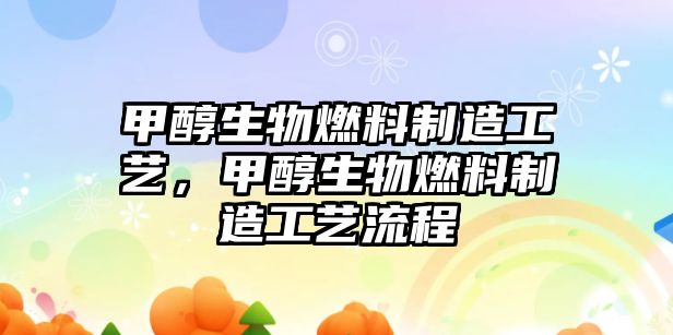 甲醇生物燃料制造工藝，甲醇生物燃料制造工藝流程