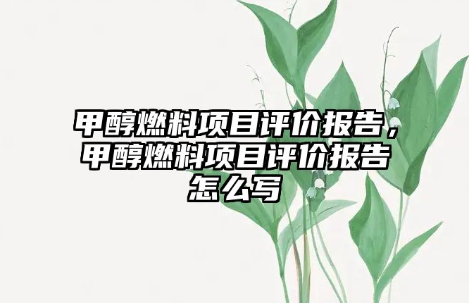 甲醇燃料項(xiàng)目評(píng)價(jià)報(bào)告，甲醇燃料項(xiàng)目評(píng)價(jià)報(bào)告怎么寫