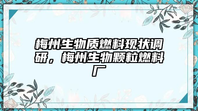 梅州生物質(zhì)燃料現(xiàn)狀調(diào)研，梅州生物顆粒燃料廠