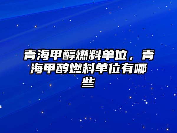 青海甲醇燃料單位，青海甲醇燃料單位有哪些