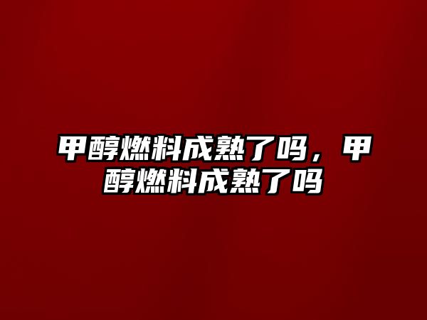 甲醇燃料成熟了嗎，甲醇燃料成熟了嗎