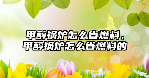 甲醇鍋爐怎么省燃料，甲醇鍋爐怎么省燃料的