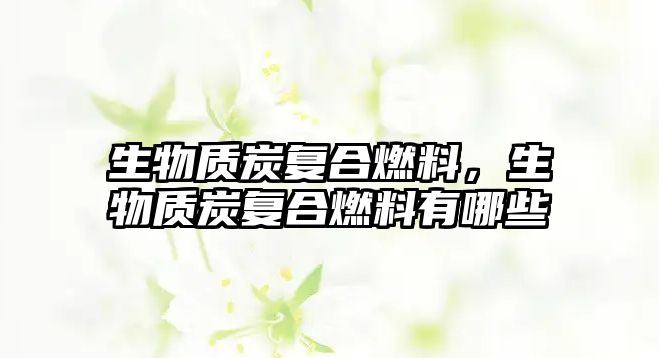 生物質(zhì)炭復合燃料，生物質(zhì)炭復合燃料有哪些