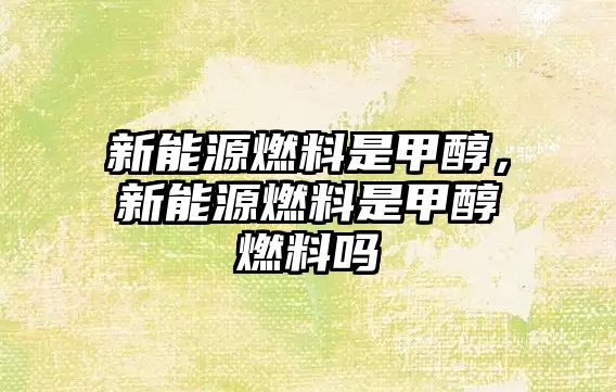 新能源燃料是甲醇，新能源燃料是甲醇燃料嗎