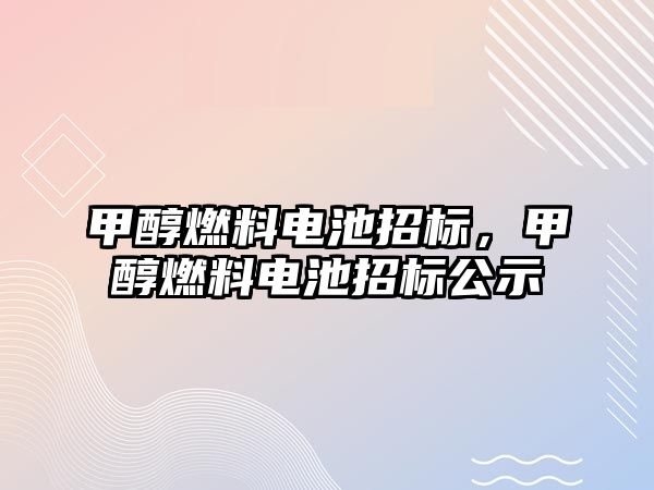 甲醇燃料電池招標，甲醇燃料電池招標公示