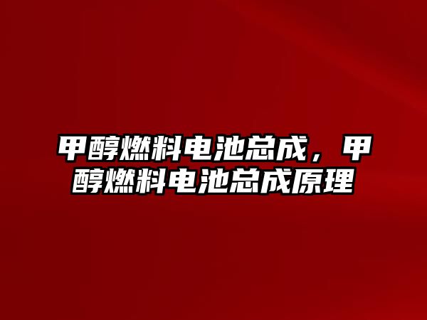 甲醇燃料電池總成，甲醇燃料電池總成原理