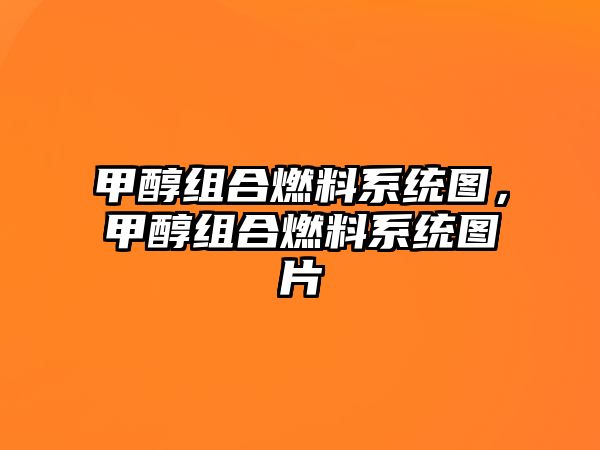 甲醇組合燃料系統(tǒng)圖，甲醇組合燃料系統(tǒng)圖片