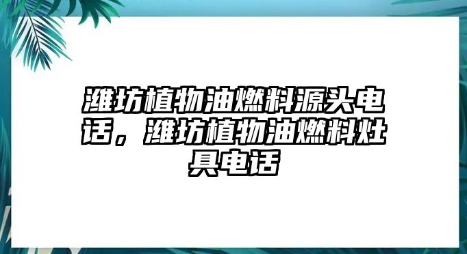 濰坊植物油燃料源頭電話，濰坊植物油燃料灶具電話