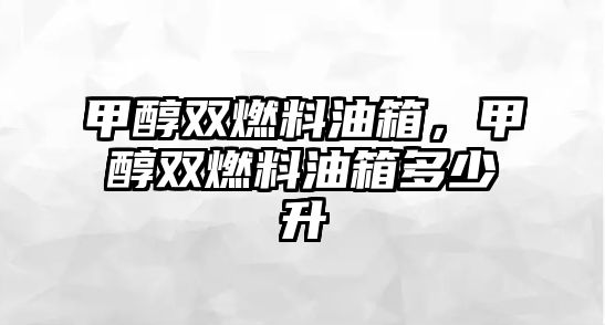 甲醇雙燃料油箱，甲醇雙燃料油箱多少升