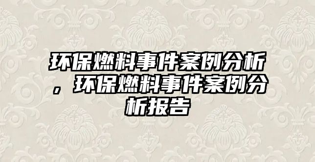 環(huán)保燃料事件案例分析，環(huán)保燃料事件案例分析報告