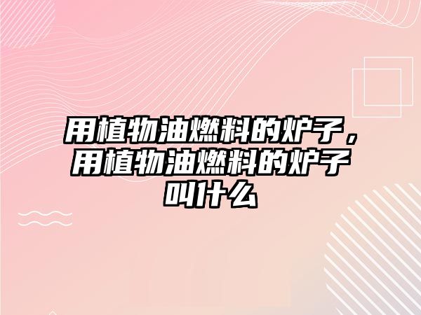 用植物油燃料的爐子，用植物油燃料的爐子叫什么