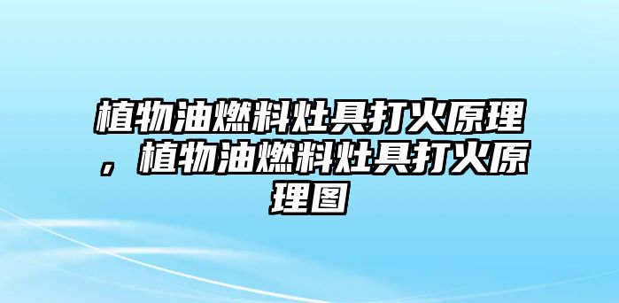 植物油燃料灶具打火原理，植物油燃料灶具打火原理圖