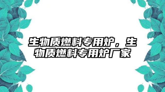 生物質燃料專用爐，生物質燃料專用爐廠家