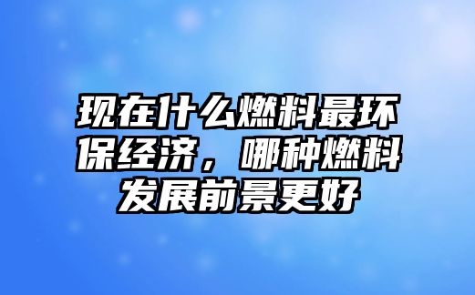 現(xiàn)在什么燃料最環(huán)保經濟，哪種燃料發(fā)展前景更好