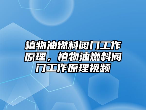 植物油燃料閥門工作原理，植物油燃料閥門工作原理視頻